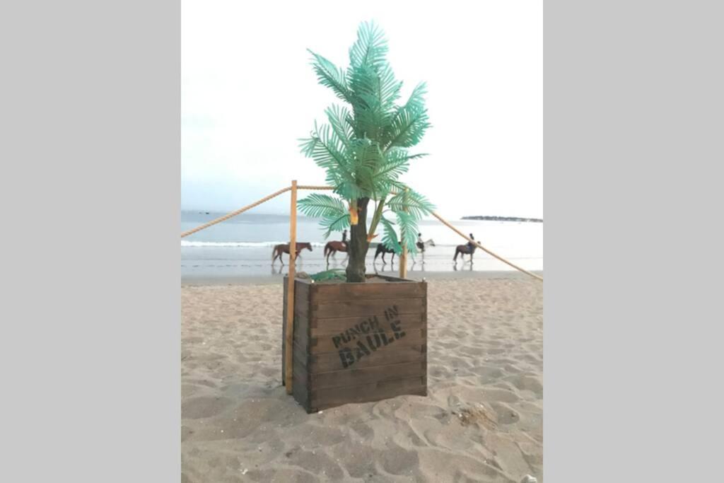 Appartement La Baule 5 Pers A 50 M De Plage Kültér fotó